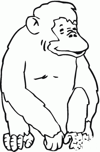 Chimpanzee Sits coloring page image