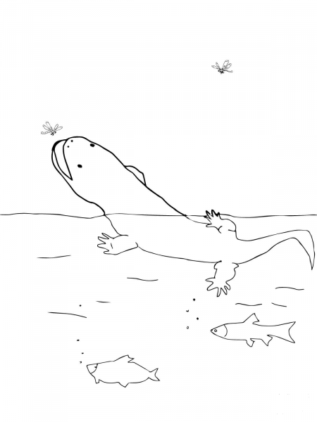 Chinese Giant Salamander coloring page image
