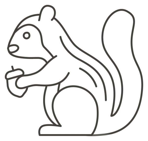 Chipmunk coloring page image
