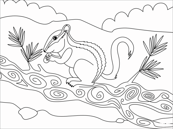 Chipmunk coloring page image
