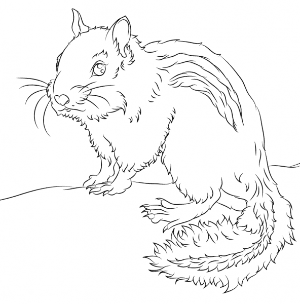 Chipmunk coloring page image