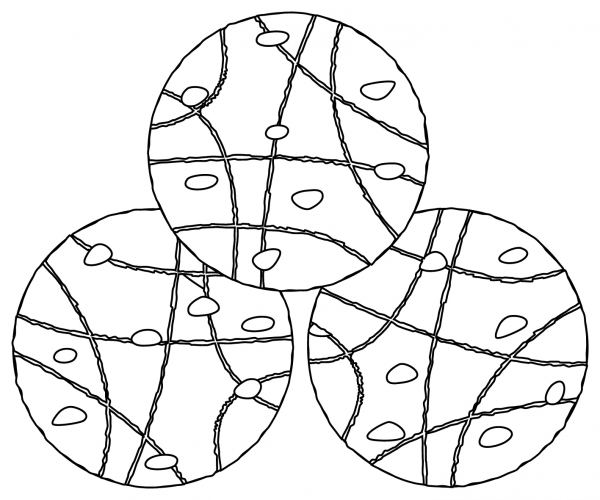 Chocolate Chip Cookie coloring page image