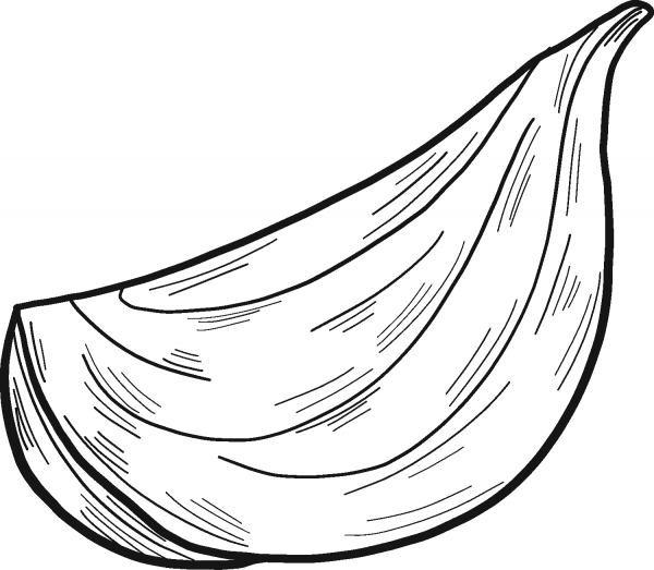 Chopped Onion coloring page image
