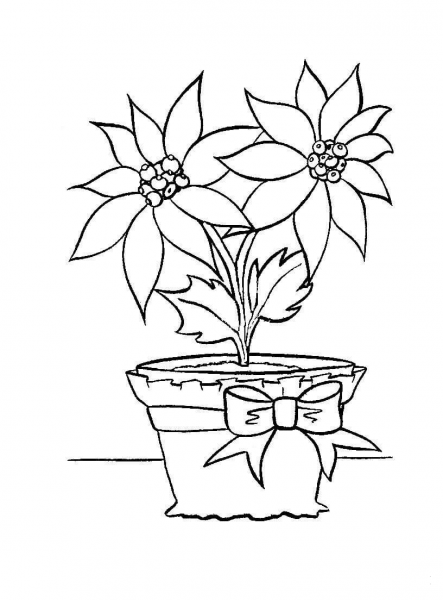 Christmas flower in in a pot coloring page image