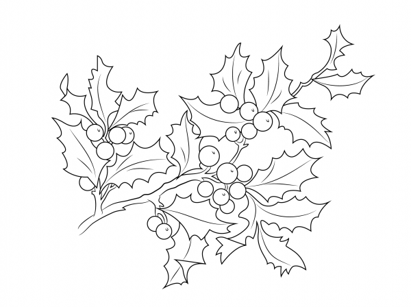 Christmas Holly Berries coloring page image