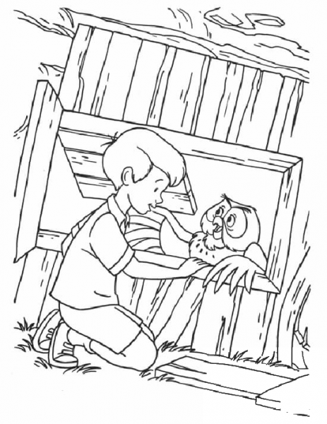 Christopher Robin And Owl  coloring page image
