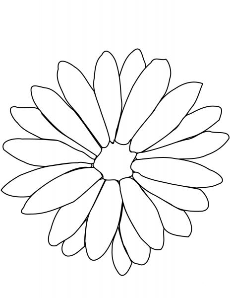 Chrysanthemum coloring page image