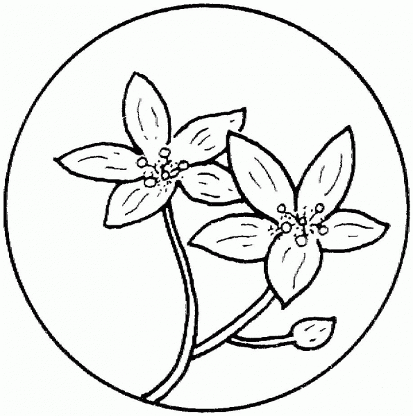 Circle with Flower 2 coloring page image