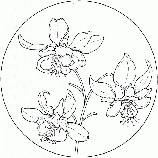 Circle with Flower 3 coloring page image