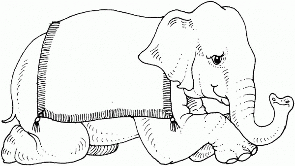 Circus Elephant coloring page image