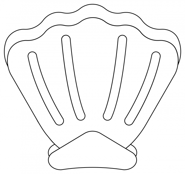 Clam coloring page image