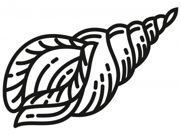 Clam coloring page image