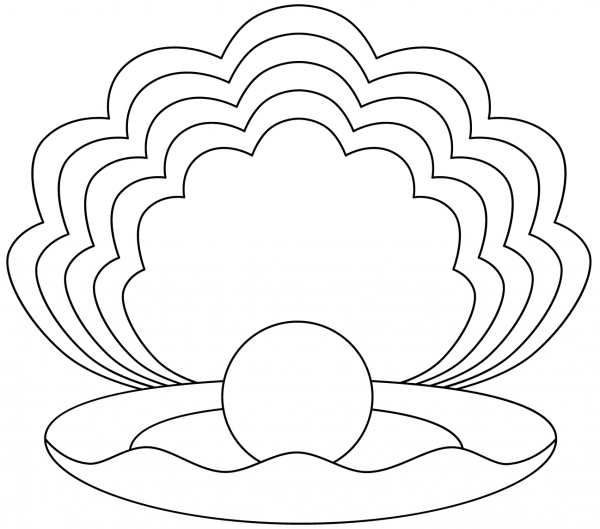 Clam coloring page image